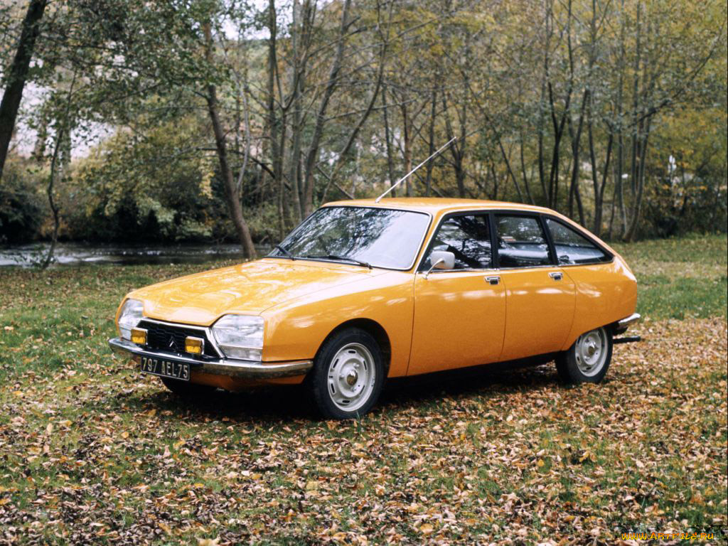 , citroen
